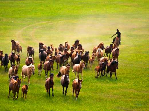 畅游塞外天堂 领略壮丽美景