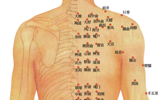 穴位治疗各类痛证 穴位治疗各类痛证